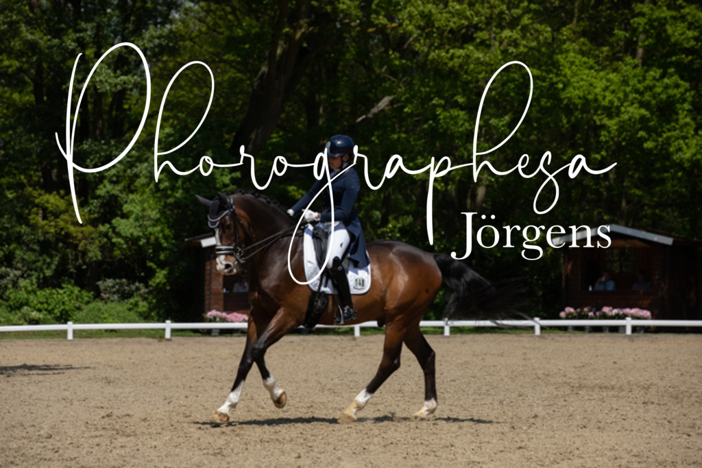 IMG_4937 | photographesa-joergens - Realisiert mit Pictrs.com