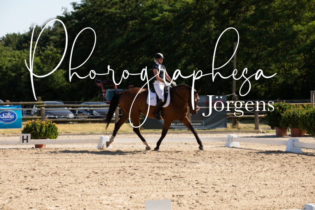 IMG_1379 | photographesa-joergens - Realisiert mit Pictrs.com