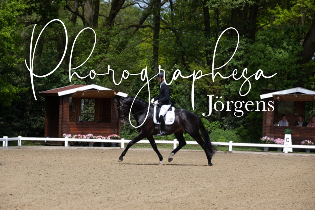 IMG_8238 | photographesa-joergens - Realisiert mit Pictrs.com