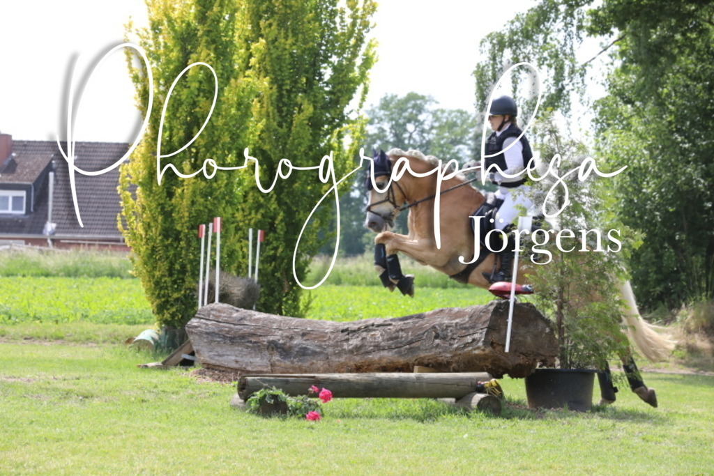 IMG_9534 | photographesa-joergens - Realisiert mit Pictrs.com