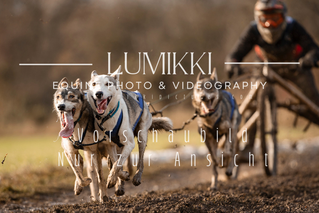 GB4A6369 | lumikki-pictures