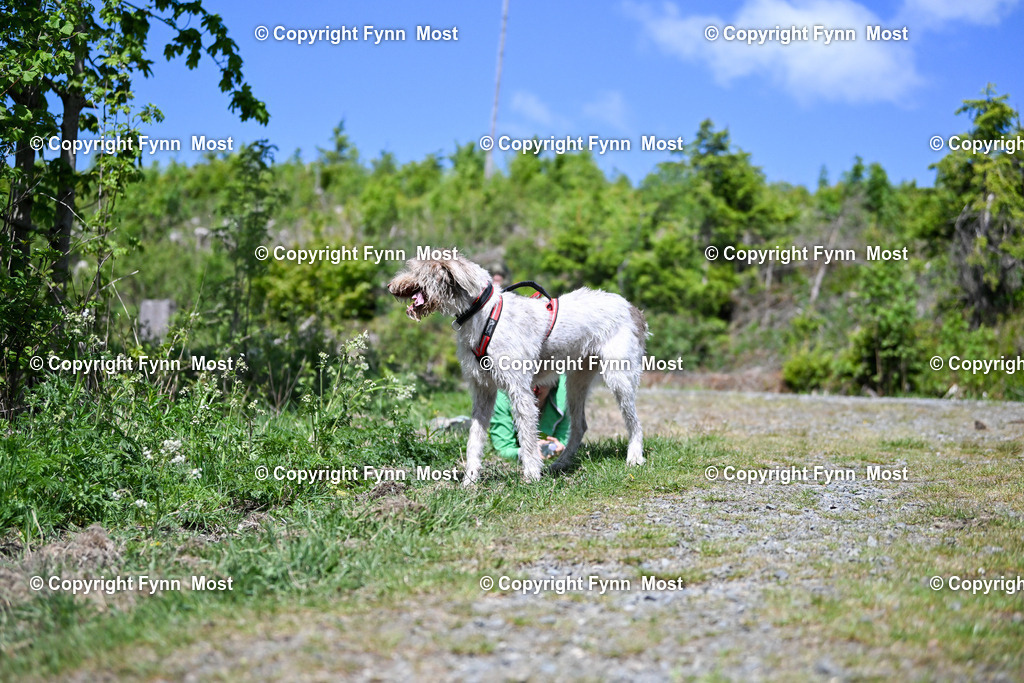 DSC_4270 | Hallo und herzlich Willkommen auf meiner Shop-Seite Fynn Most.

Ich wünsche Dir viel Spaß beim stöbern durch die Bilder, wenn Du Fragen hast oder Bilder vermisst, kannst du mir gerne eine Nachricht schreiben. - Realisiert mit Pictrs.com