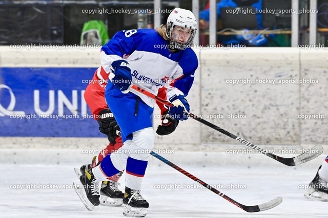 BST_3558 | hockey sports photos, Pressefotos, Sportfotos, hockey247, win 2day icehockeyleague, Handball Austria, Floorball Austria, ÖVV, Kärntner Eishockeyverband, KEHV, KFV, Kärntner Fussballverband, Österreichischer Volleyballverband, Alps Hockey League, ÖFB, 