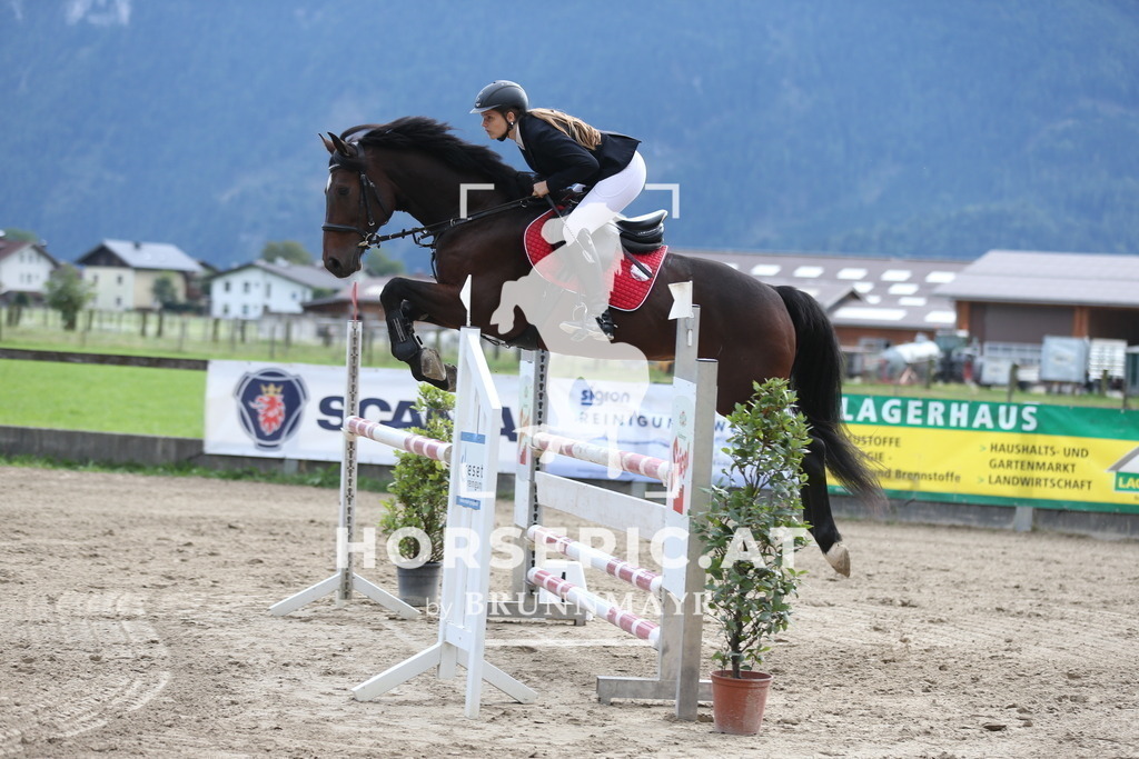AS8V1253 | Willkommen bei Brunnmayr - Design & Fotografie – Ihrem Spezialisten für Reitturniere und Pferdeveranstaltungen in Oberösterreich, Salzburg und Bayern! Seit über 17 Jahren sind wir leidenschaftlich dabei.
