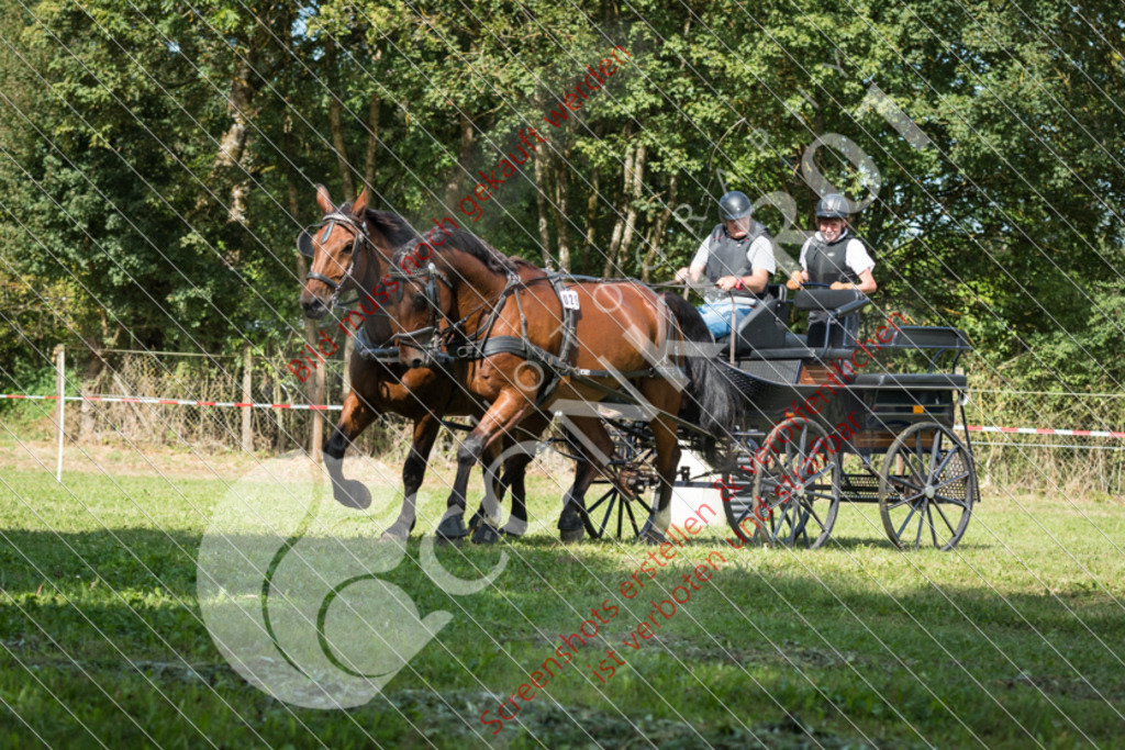 ND5_0764 | Hier findest Du viele Augenblicke aus den Bereichen der Turnier-, Sport- & Tierfotografie. Bilder mit deinem Liebling, Portrait-, Bewerbungs-, Businessbilder können ebenfalls schnell und einfach erstellt werden.