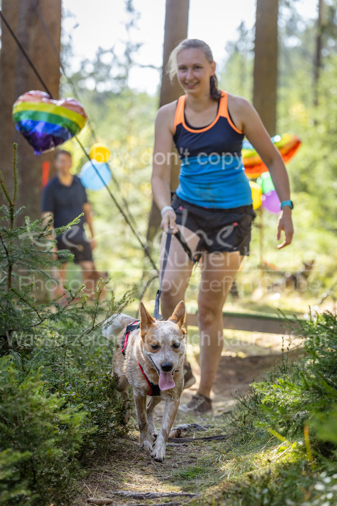 FM6A1403 | Herzlich Willkommen im Onlineshop von tierische Augenblicke.
Viel Spaß beim aussuchen ihrer Bilder und vielen Dank für ihren Einkauf.
Viele Grüße, ihr Fotograf Stefan Grube