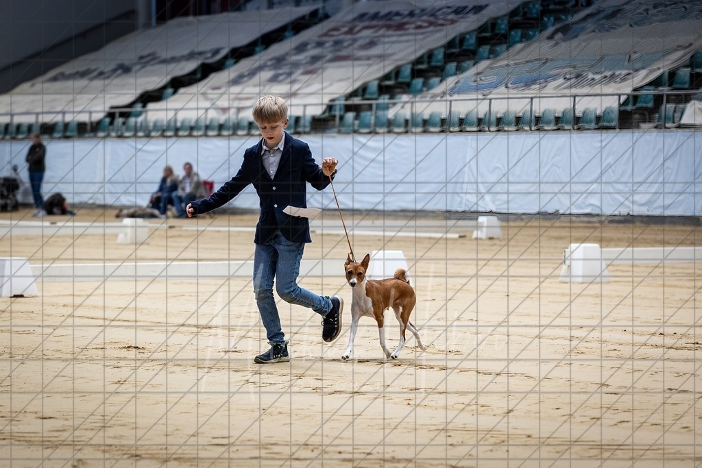 DS - Junior-Handling I_0020 | Markus Heber Photography