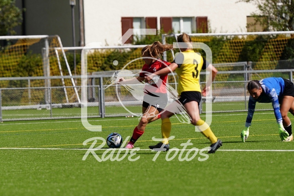 SON08579 | rabefotos