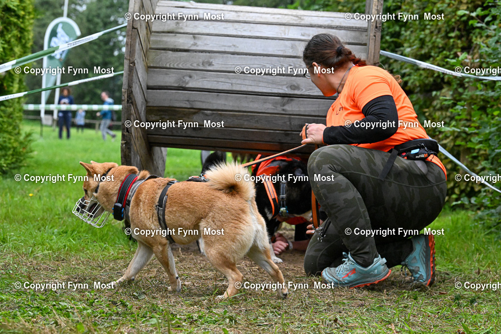DSC_2713 | Hallo und herzlich Willkommen auf meiner Shop-Seite Fynn Most.

Ich wünsche Dir viel Spaß beim stöbern durch die Bilder, wenn Du Fragen hast oder Bilder vermisst, kannst du mir gerne eine Nachricht schreiben. - Realisiert mit Pictrs.com