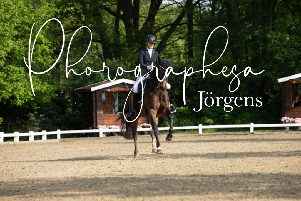 IMG_0027 | photographesa-joergens - Realisiert mit Pictrs.com
