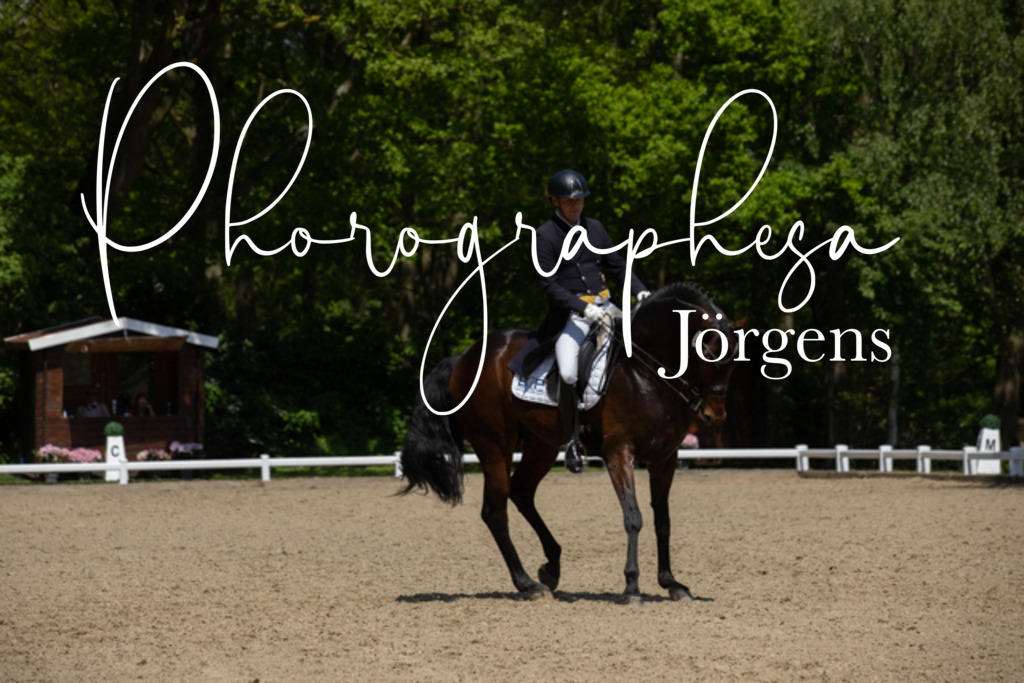 IMG_5113 | photographesa-joergens - Realisiert mit Pictrs.com