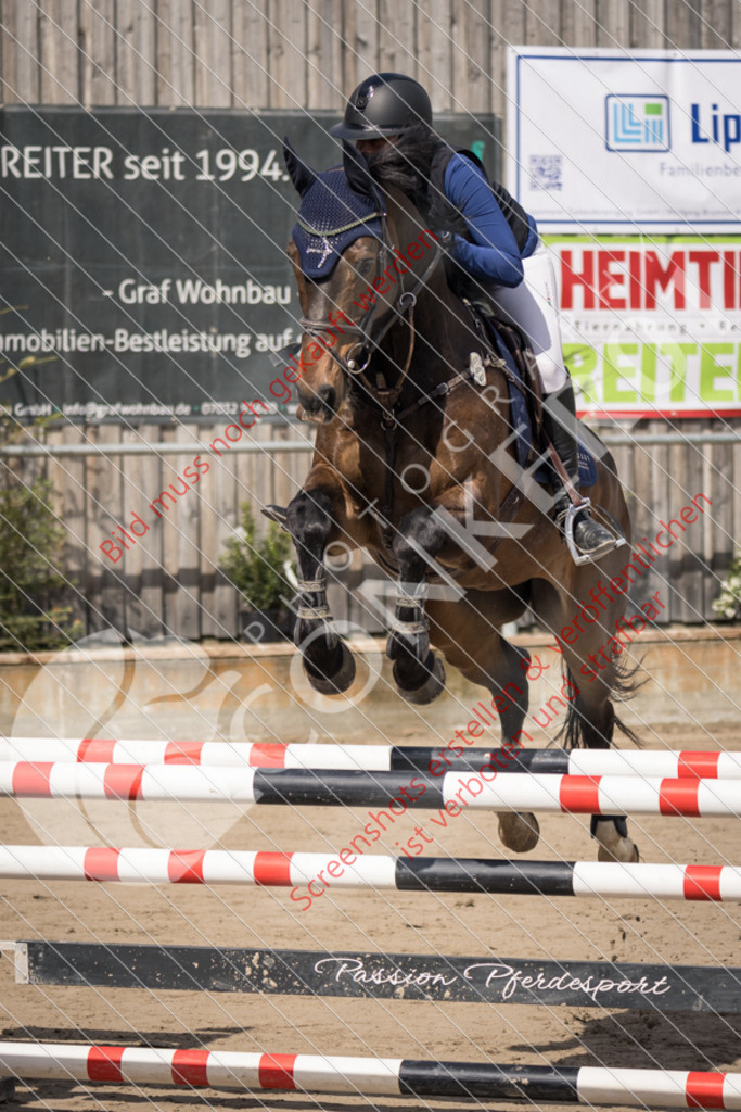 IMG_0256 | Hier findest Du viele Augenblicke aus den Bereichen der Turnier-, Sport- & Tierfotografie. Bilder mit deinem Liebling, Portrait-, Bewerbungs-, Businessbilder können ebenfalls schnell und einfach erstellt werden.