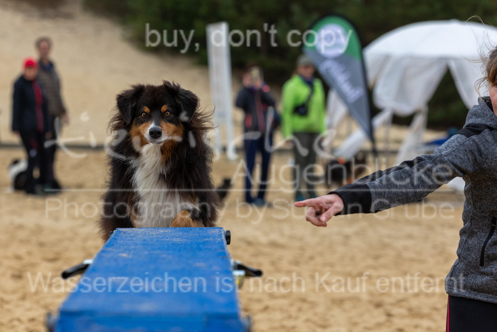 CJ8A2918 | Herzlich Willkommen im Onlineshop von tierische Augenblicke.
Viel Spaß beim aussuchen ihrer Bilder und vielen Dank für ihren Einkauf.
Viele Grüße, ihr Fotograf Stefan Grube