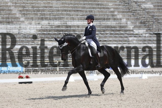 Marbach_2023_Prfg.Nr.06_Inter I_Kür_Anna-Lisa Stotmeister_Beckham GT (2) | Alle Fotos der Reiterjournal Fotografin Doris Matthaes im Reiterjournal Online-Fotoshop. - Realisiert mit Pictrs.com