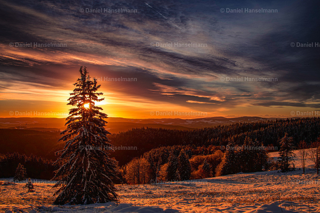 IMG_8714 | Hier finden Sie Poster, Leinwandfotos sowie viele weitere Fotoprodukte mit Motiven aus dem Schwarzwald, aus Freiburg und dem Kaiserstuhl zum Download und zum Bestellen.  - Realisiert mit Pictrs.com