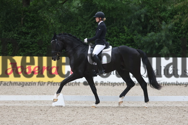 Weilheim_2023_Prfg.Nr.20_Reitpferdeprüfung_3u.4jähr.Hengste_Anna-Lisa Schepper_Barbossa 7 (9) | Alle Fotos der Reiterjournal Fotografin Doris Matthaes im Reiterjournal Online-Fotoshop. - Realisiert mit Pictrs.com