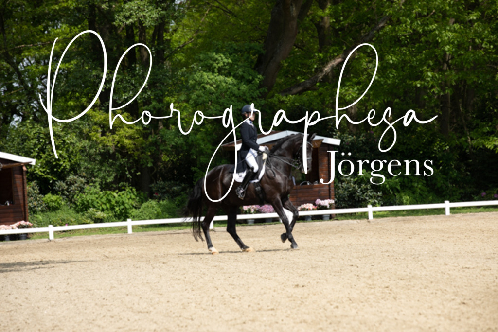 IMG_1258 | photographesa-joergens - Realisiert mit Pictrs.com