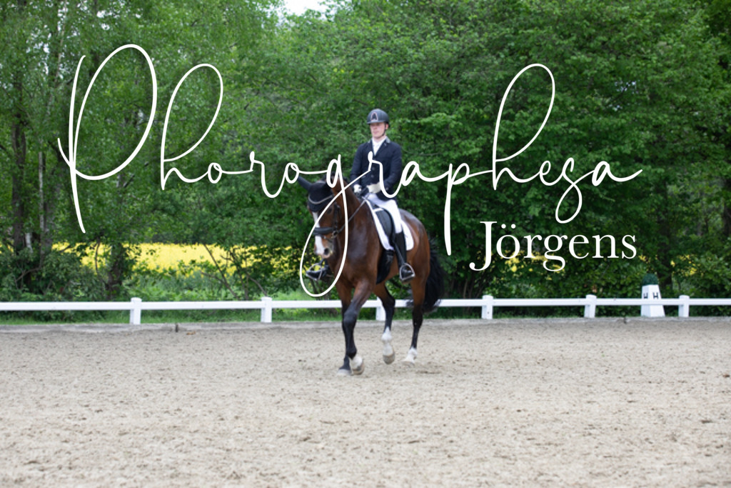 IMG_9610 | photographesa-joergens - Realisiert mit Pictrs.com