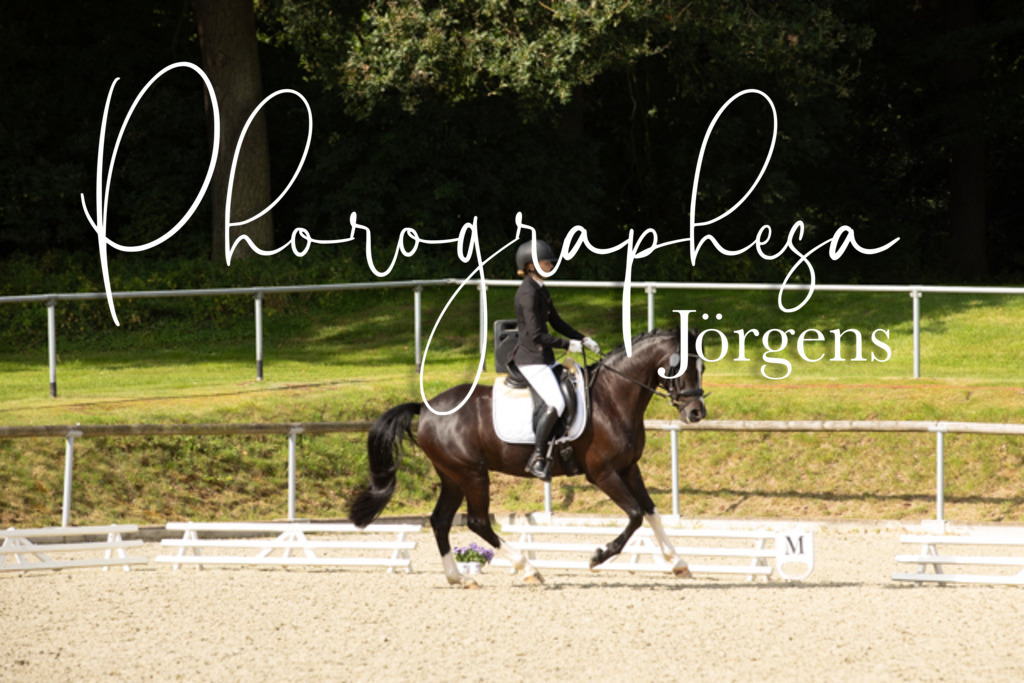 IMG_8365 | photographesa-joergens - Realisiert mit Pictrs.com
