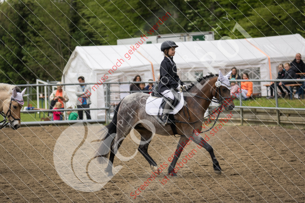 IMG_8431 | Hier findest Du viele Augenblicke aus den Bereichen der Turnier-, Sport- & Tierfotografie. Bilder mit deinem Liebling, Portrait-, Bewerbungs-, Businessbilder können ebenfalls schnell und einfach erstellt werden.