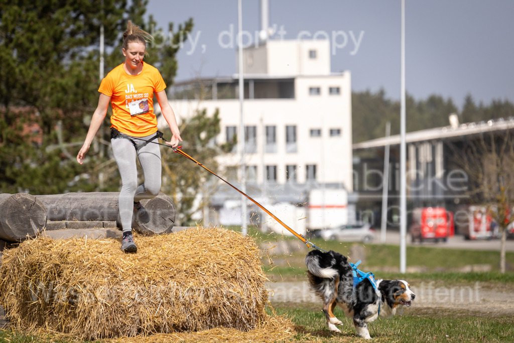 FM6A9545 | Herzlich Willkommen im Onlineshop von tierische Augenblicke.
Viel Spaß beim aussuchen ihrer Bilder und vielen Dank für ihren Einkauf.
Viele Grüße, ihr Fotograf Stefan Grube