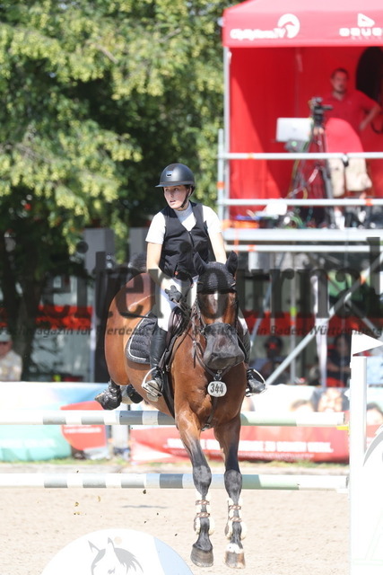 Ichenheim_2023_Prfg.Nr.21_Springprfg_Kl.S_U25_Lara-Sophie Strohm_Mr. Lustig (3) | Alle Fotos der Reiterjournal Fotografin Doris Matthaes im Reiterjournal Online-Fotoshop. - Realisiert mit Pictrs.com