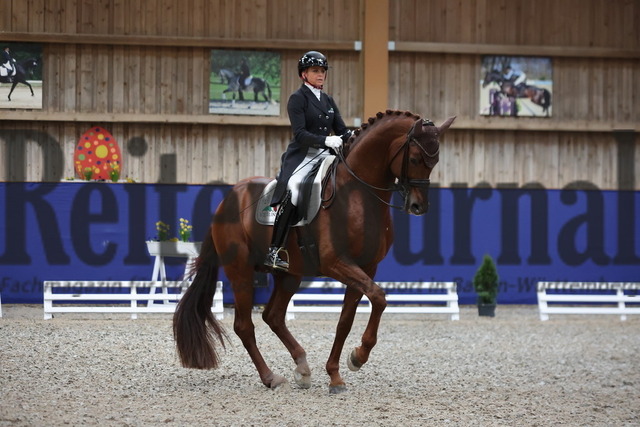 Zeutern_2024_Prfg.Nr.02_Inter II_Dorothee Schneider_Vainqueur 22 (15) | Alle Fotos der Reiterjournal Fotografin Doris Matthaes im Reiterjournal Online-Fotoshop. - Realisiert mit Pictrs.com