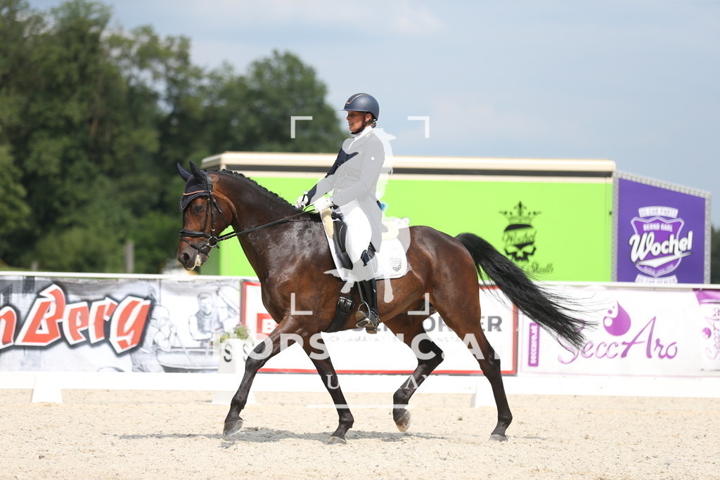 AS8V3610 | Willkommen bei Brunnmayr - Design & Fotografie – Ihrem Spezialisten für Reitturniere und Pferdeveranstaltungen in Oberösterreich, Salzburg und Bayern! Seit über 17 Jahren sind wir leidenschaftlich dabei.