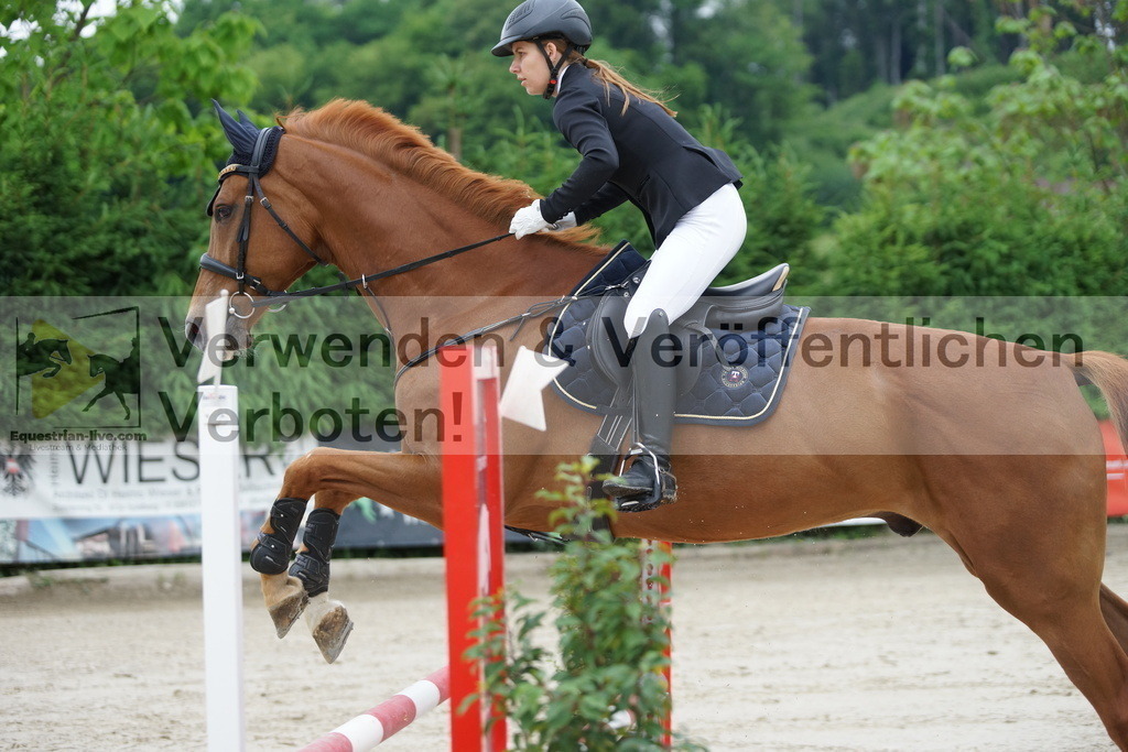 DSC07449 | equestrian-live-com
