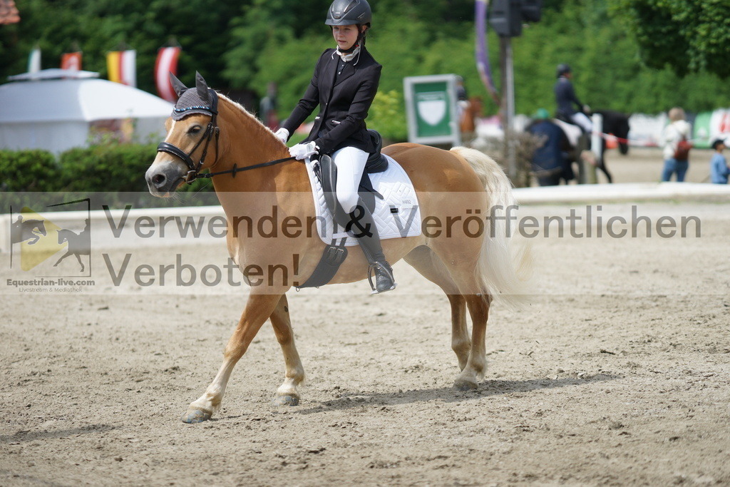 DSC04596 | equestrian-live-com