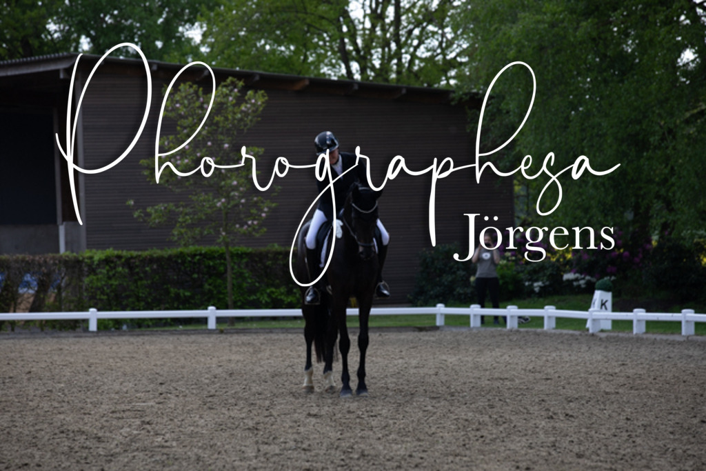 IMG_9110 | photographesa-joergens - Realisiert mit Pictrs.com