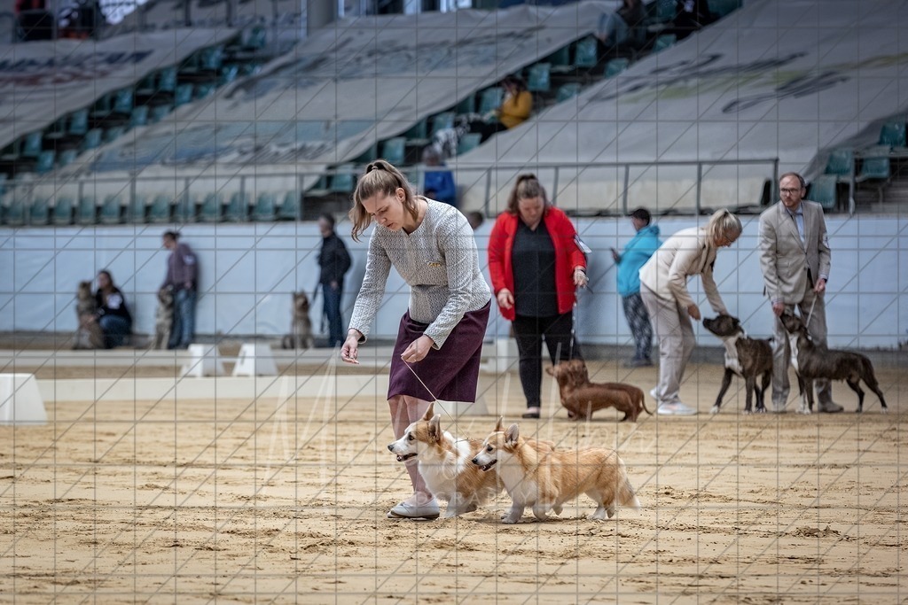 DS - Paarklasse_0069 | Markus Heber Photography