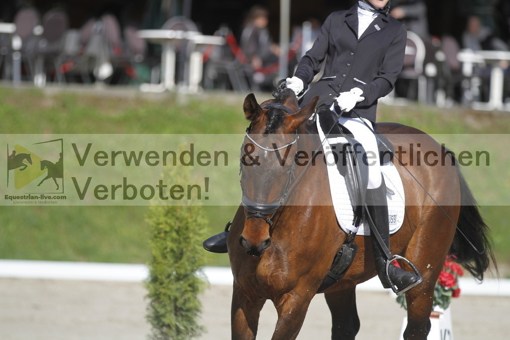 _MG_9198 | equestrian-live-com