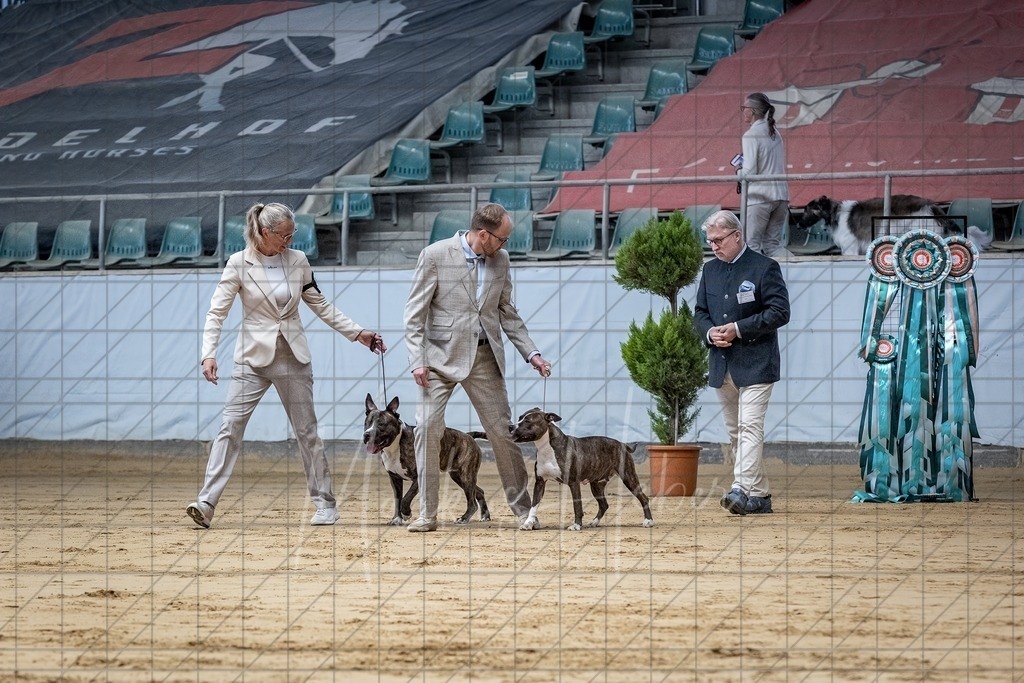 DS - Paarklasse_0062 | Markus Heber Photography