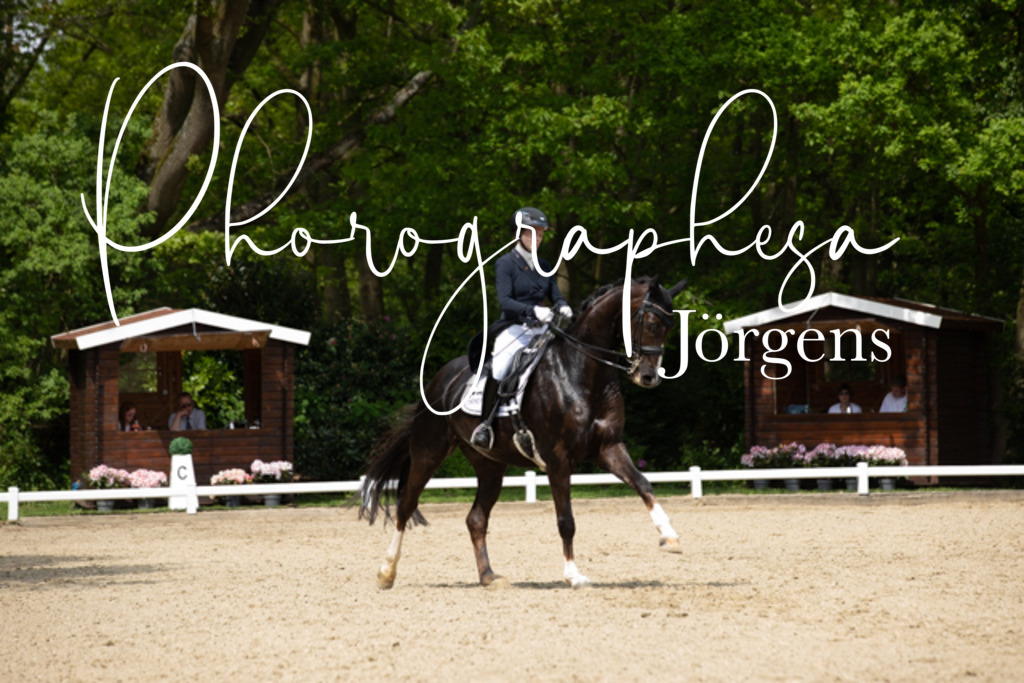 IMG_1999 | photographesa-joergens - Realisiert mit Pictrs.com