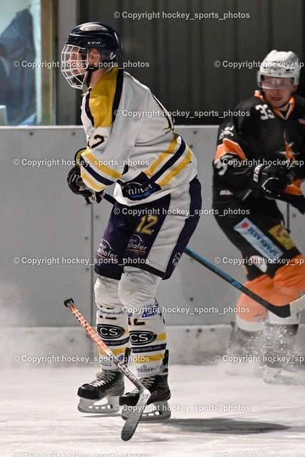 EC Ice Tigers Paternion vs. Ultras Spittal 21.1.2024 | #12 Steiner Domenik, #33 Hoffelner Florian