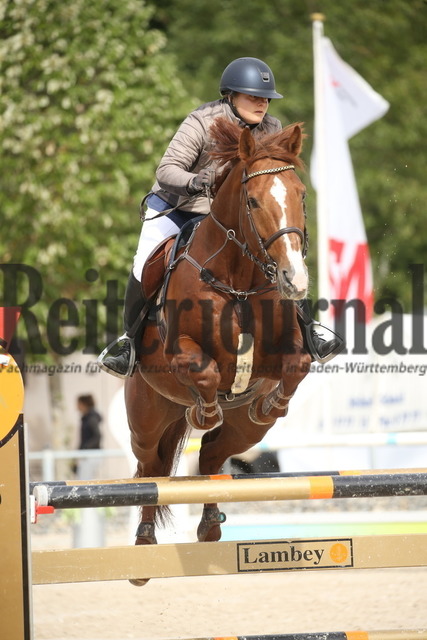 Villingendorf_2022_Prfg.Nr.12_zwei Phasen_Springprfg.Kl.M_Amateur-Tour_Kim Carolin Müller_Darco For Fun Z (1) | Alle Fotos der Reiterjournal Fotografin Doris Matthaes im Reiterjournal Online-Fotoshop. - Realisiert mit Pictrs.com