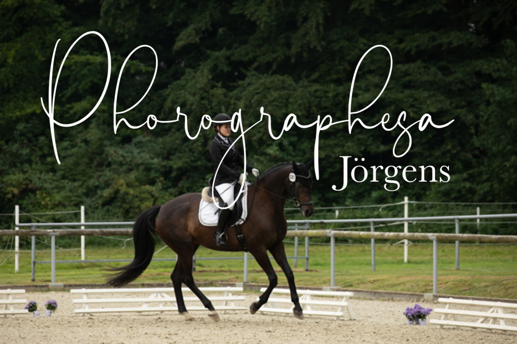 IMG_5585 | photographesa-joergens - Realisiert mit Pictrs.com