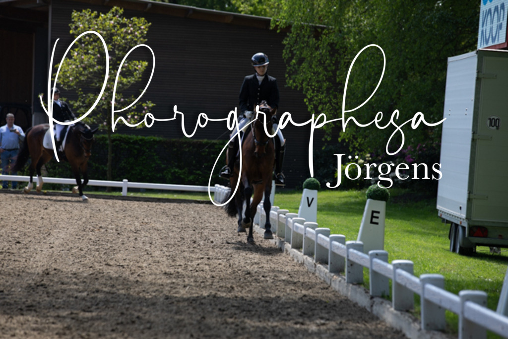 IMG_8316 | photographesa-joergens - Realisiert mit Pictrs.com
