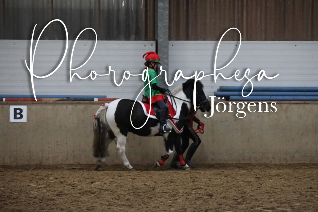 IMG_8015 | photographesa-joergens - Realisiert mit Pictrs.com