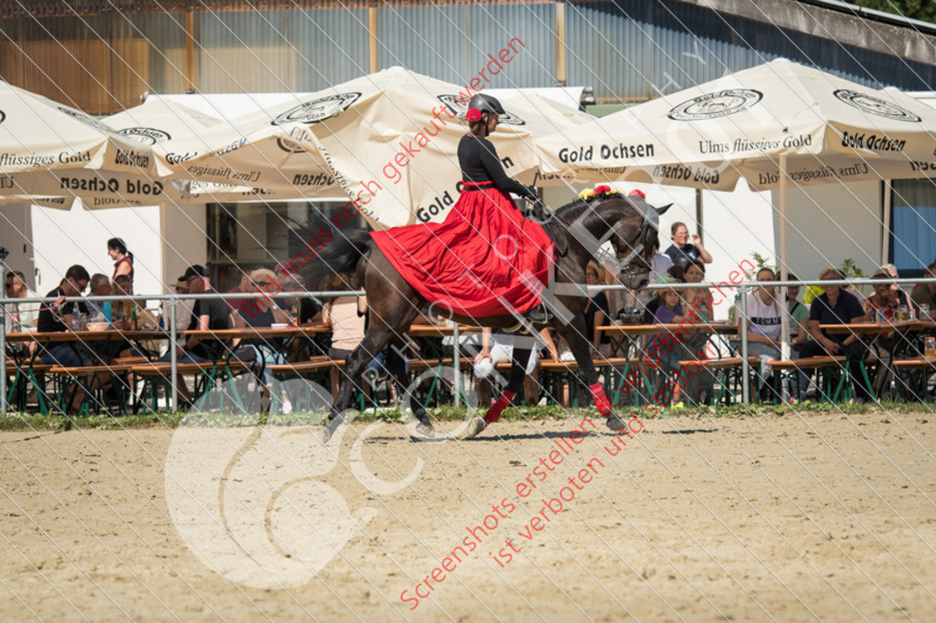 ND5_9014 | Hier findest Du viele Augenblicke aus den Bereichen der Turnier-, Sport- & Tierfotografie. Bilder mit deinem Liebling, Portrait-, Bewerbungs-, Businessbilder können ebenfalls schnell und einfach erstellt werden.