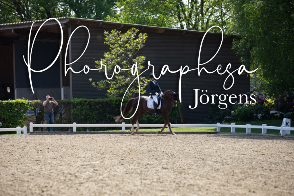 IMG_8865 | photographesa-joergens - Realisiert mit Pictrs.com