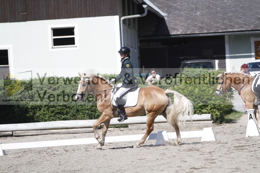 _MG_4278 | equestrian-live-com
