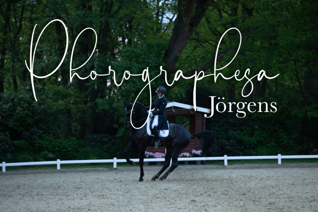 IMG_9763 | photographesa-joergens - Realisiert mit Pictrs.com