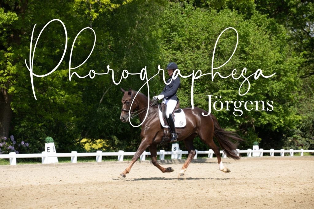 IMG_0974 | photographesa-joergens - Realisiert mit Pictrs.com