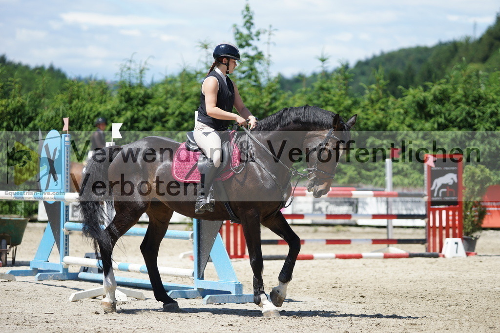 DSC08139 | equestrian-live-com
