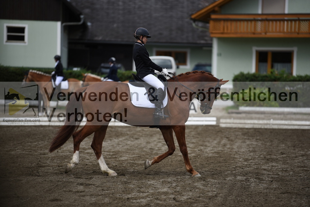 DSC_5099 | equestrian-live-com