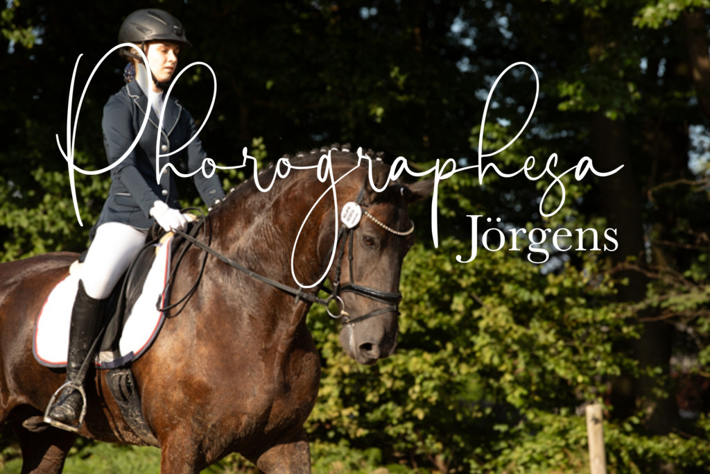 IMG_1011 | photographesa-joergens - Realisiert mit Pictrs.com