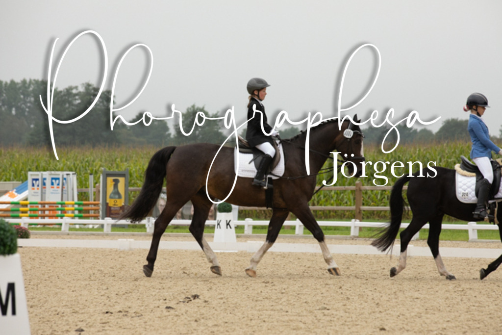 IMG_1635 | photographesa-joergens - Realisiert mit Pictrs.com