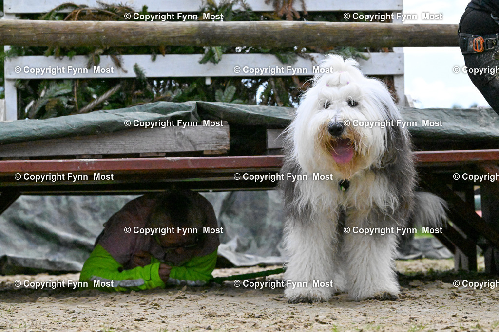 DSC_9725 | Hallo und herzlich Willkommen auf meiner Shop-Seite Fynn Most.

Ich wünsche Dir viel Spaß beim stöbern durch die Bilder, wenn Du Fragen hast oder Bilder vermisst, kannst du mir gerne eine Nachricht schreiben. - Realisiert mit Pictrs.com